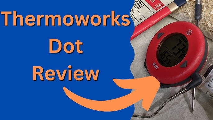 Nibble Me This: Product Review: Thermoworks Thermopop and TimeStick