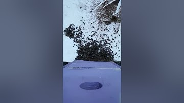 Another Warré hive run-in.