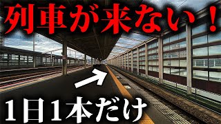 【1日1本】寂しすぎる