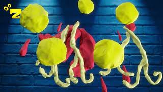 Zarok Tv - Morph S3 - Beş 2