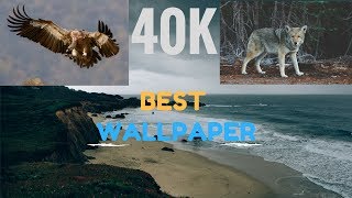 New AMAZING Wallpaper Apps 2017 for android ! 3D Live || Best wallpaper apps for Adults by DAVID screenshot 5