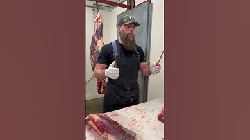 Honing the Victorinox 6" Boning Knife 🔪 #shorts #knife #sharpknife #thebeardedbutchers