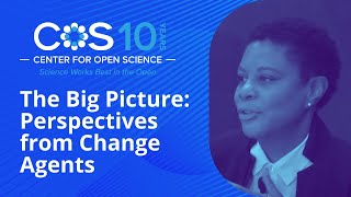 The Big Picture: Perspectives from Change Agents