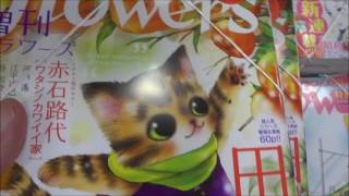 猫mix幻奇譚とらじ(10)