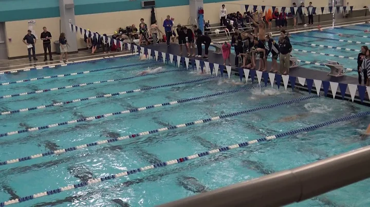 2017 Big Ten Stampede Boys 200 IM Finals Mark McCr...
