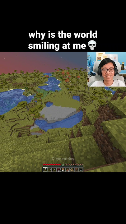 Minecraft Smile Moment