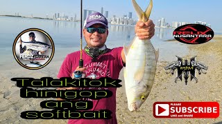 Golden Trevally kinagat rin ang soft plastic bait || Ultralight fishing || Abu Dhabi UAE screenshot 5