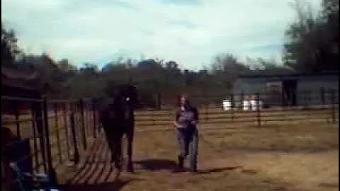 Xena Warrior Princess Tamed by Jennie Hays in Firs...
