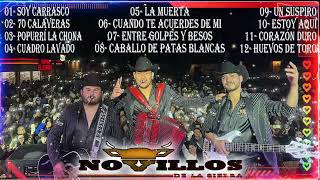 Puros Corridos  20 Exitos Musica  Novillos de la Sierra  Las Mas Escuchadas 2024