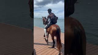 Sunday Stroll, Island Style: Young Cruzan Boy Rides His Horse Down the Boardwalk 🐎🌞