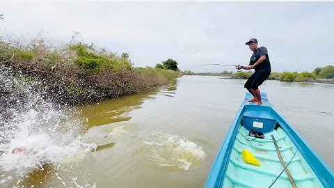 Câu Cá Chẽm Bằng Cần UL Và Cần Hi-power Đụng Chẽm Khủng - Câu Chẽm Thiên Nhiên || Chí Toàn Fishing