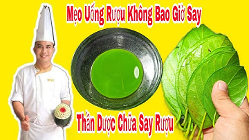 Mẹo Uống Rượu Bia Không Say / Cách Chữa Say Rượu Nhanh Nhất