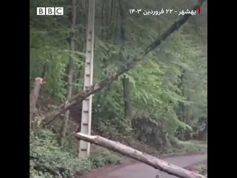 افراد ناشناس بیش از ۷۰ درخت کهن سال را در جنگل بهشهر در شمال ایران قطع کرده اند