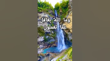وَمَا اللَّهُ بِغَافِلٍ عَمَّا تَعْمَلُونَ القارئ اسد حمود