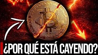 Urgente: Por qué Bitcoin está CAYENDO (y se empeorará)