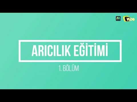 ARICILIK EĞİTİMİ - 1.BÖLÜM (Arıcılıkta Kullanılan Temel Malzemeler)