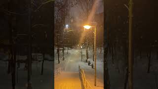 Снег, с неба темного белый снег, на вопросы мои ответ.. зима в Москве, столица сейчас