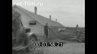 1962г. совхоз Тургеневский Муромский район Владимирская обл