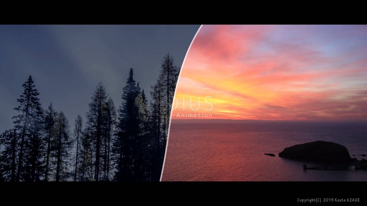 EDIUSで出来ること – edius…?