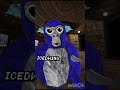 Do it now!!! #gorillatag #gtag #vr #helpmemakethismakesense #funny #wow