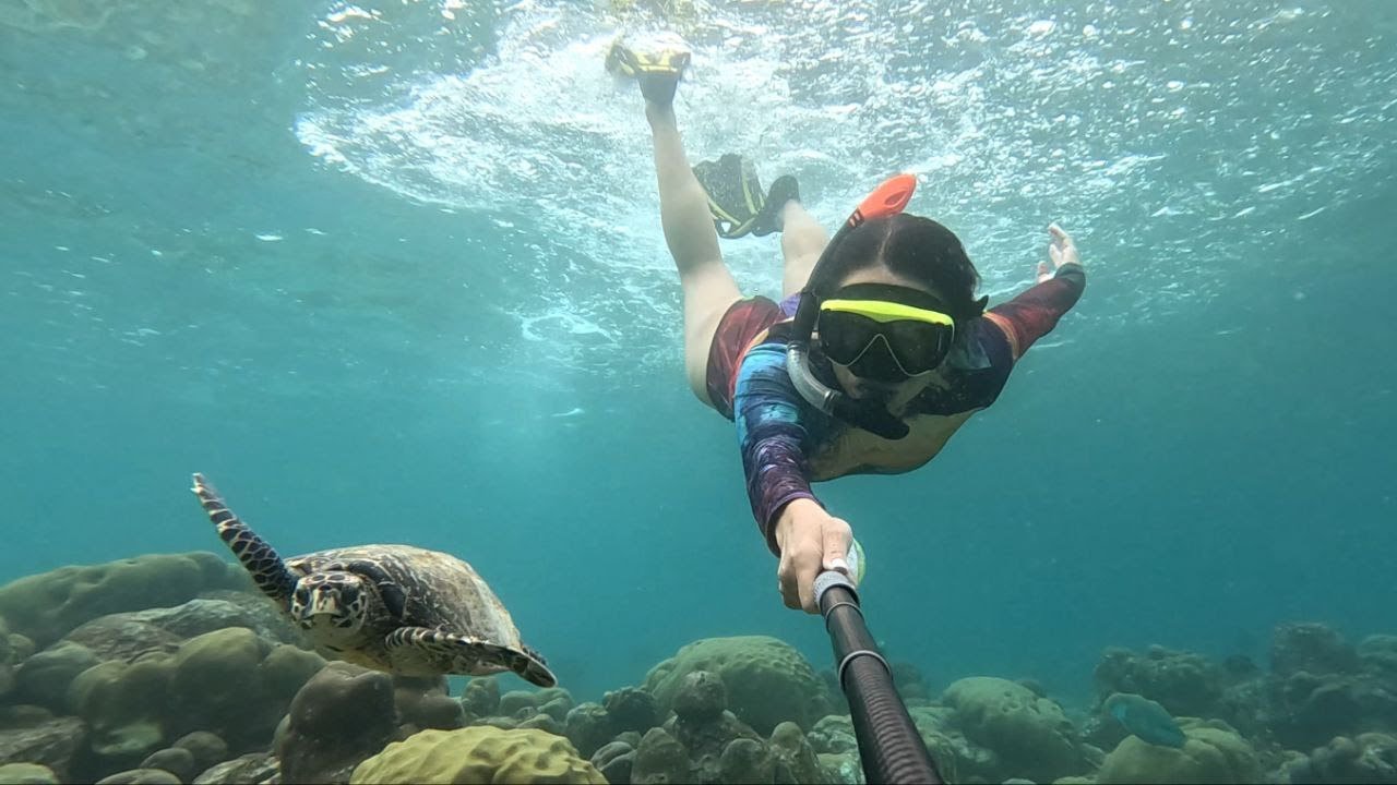 snorkeling House reef Adaaran Select Meedhupparu