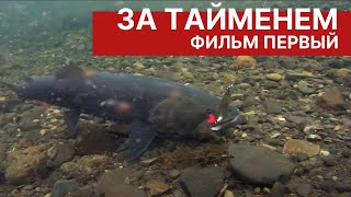 За тайменем в Хабаровский край. Фильм 1. Подготовка к рыбалке