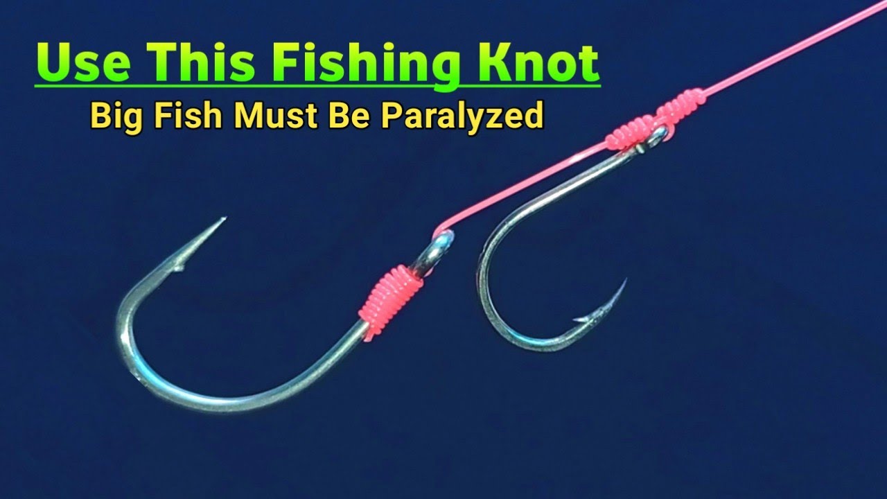 How to properly tie a fishing hook for big fish