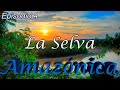 La selva amaznica una selva muchos mundos  latinoamrica salvaje