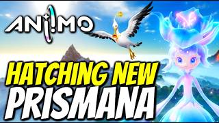 Hatching My Two New Prismana! - Aniimo