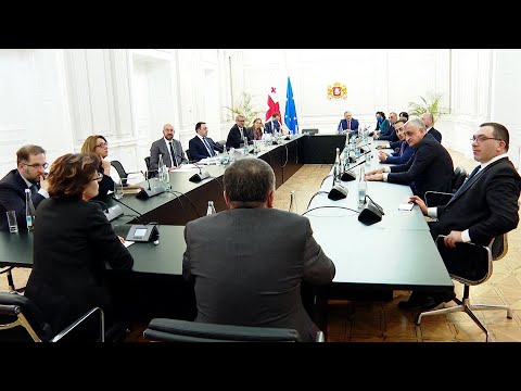 ხელისუფლებისა და ოპოზიციის წარმომადგენლების შეხვედრა