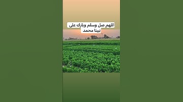 إن الله وملائكه يصلّون على النبي  #ياسر_الدوسري #قرآن_كريم #سورة_الاحزاب