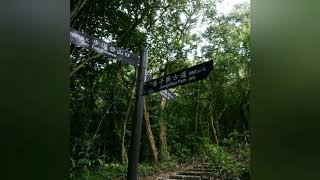 新北捷兔 NEW TAIPEI HASH 339TH RUN 姜子寮古道 汐止 天峰谷 O型 6KM
