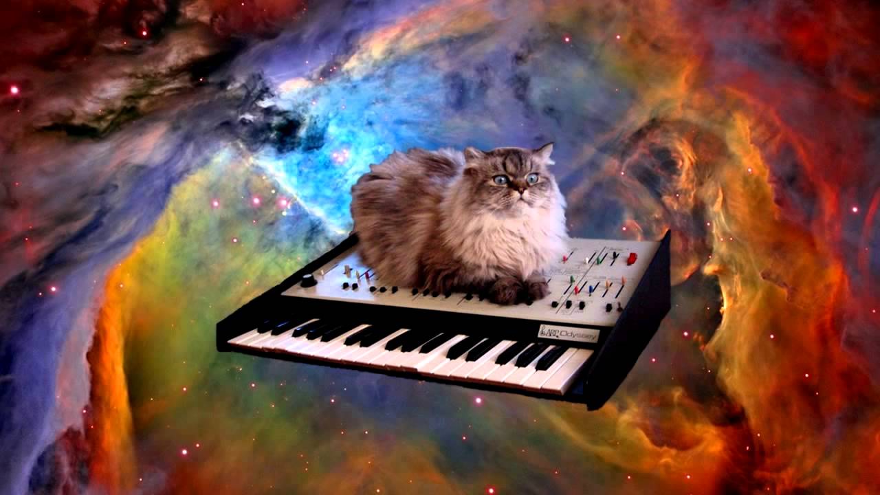 Funny Space  Cat  Flying  Physics Prince YouTube