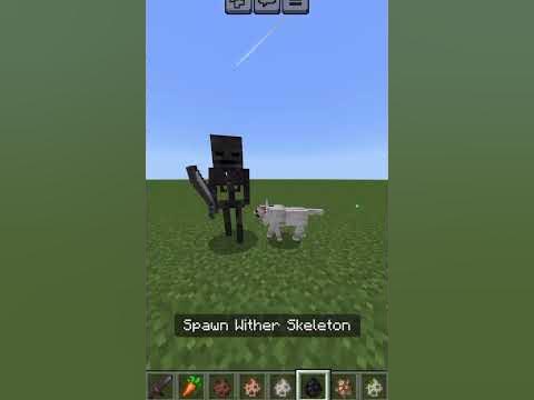 The Minecraft food chain 🍖 #minecraftshorts Biology Diagrams