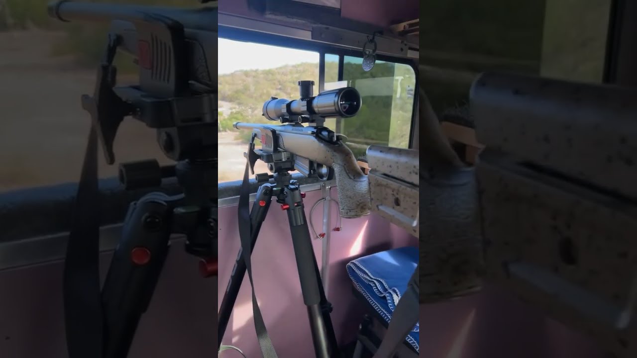 Texas Wild Hunt Full Of Exotics And More