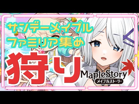 【 メイプルストーリー 配信 】ファミリア手つかずの反動がきた。【 Vtuber 】