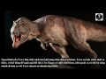 Khủng long bạo chúa T-rex vs Giganotosaurus, con nào sẽ thắng #13|| Bạn Có Biết?