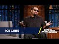 Ice Cube Doesn't Regret "No Vaseline" Diss 25 Years After Death Certificate