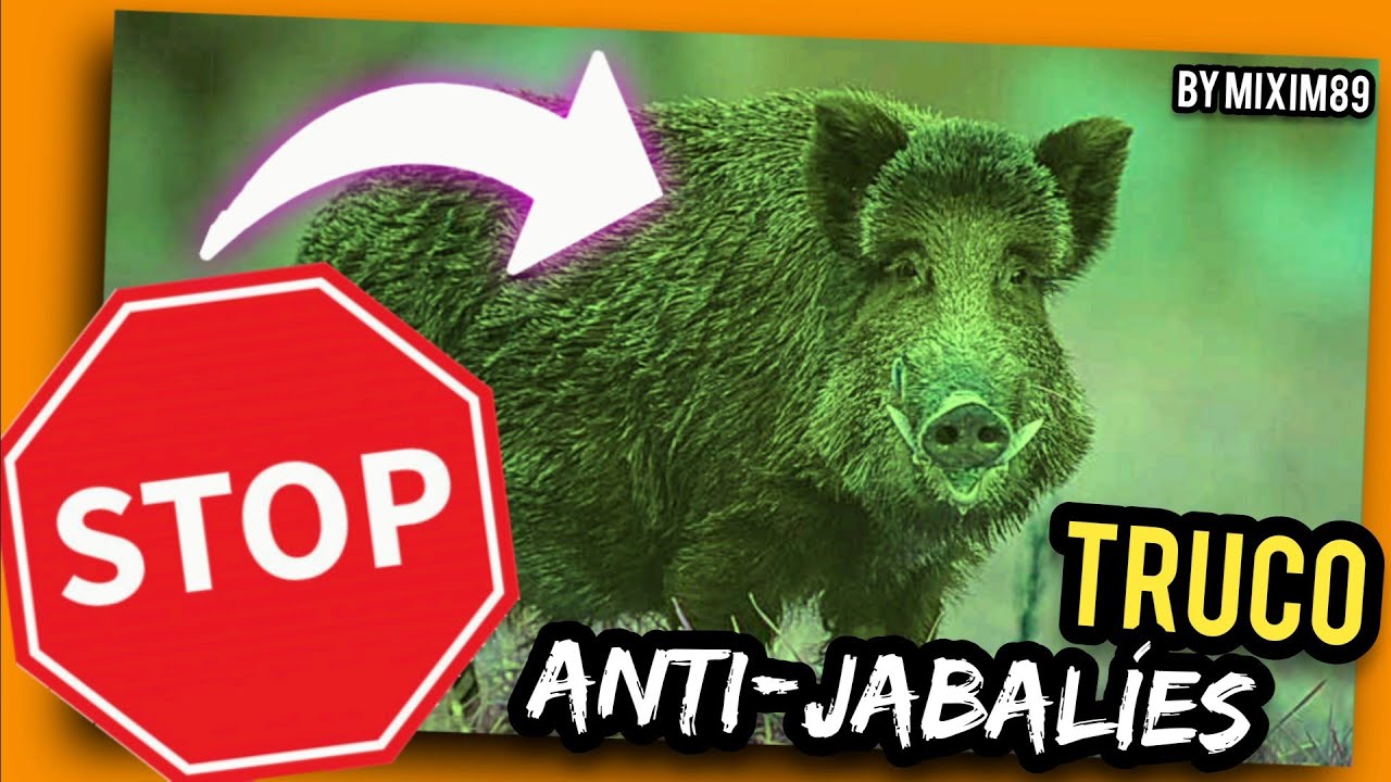 Elimina el problema de los jabalíes con el ahuyentador más efectivo 