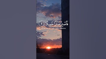 "فَاصْبِرْ صَبْرًا جَمِيلًا". 🤍 سورة المعارج الآية-٥ #قران #راحة_البال_وهدوء_النفس