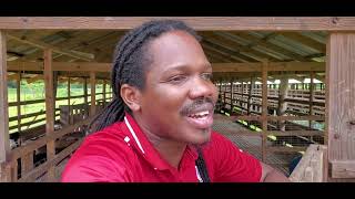 Senator Damion Crawford's Goat Farm| Healthy Goats|Diseases that Infect Goats| PLEASE SUBSCRIBE