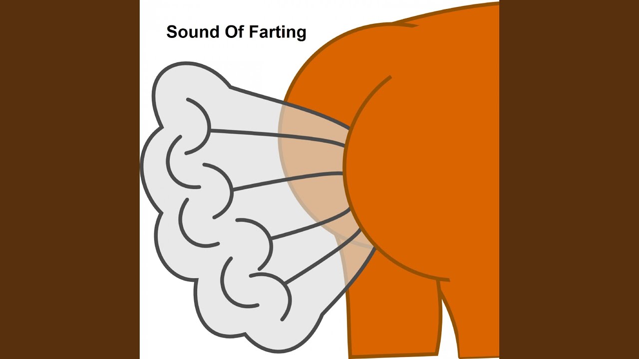 Guarda Farting farting sonat su YouTube Guarda Farting farting sonat su YouTube