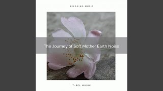 Live Today, Reach Inner Peace Nature Music for Magical Sleep screenshot 5