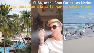 141. отель Gran Caribe Las Morlas, рум тур, чайки и океан 🌊