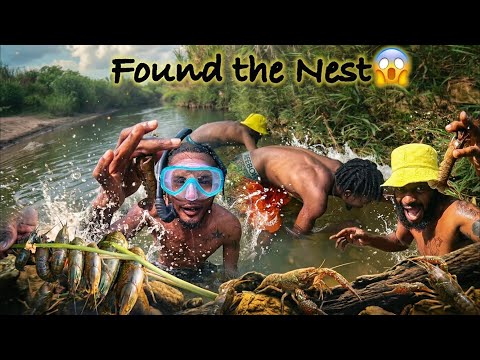We Almost Gave Up... Then We Found This!!!