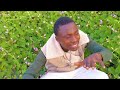NI_ TAMPATA Chebe_one ft @plamido officiel visualisé