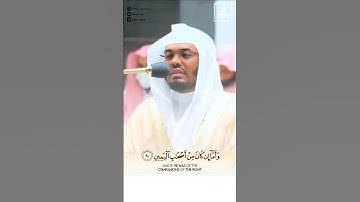 نهاية سورة الواقعة بإداء ياسر الدوسري. End of Surat Al-Waqiah by Yasser Al-Dossary. #quran  #islam