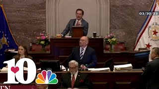 Tennessee House Speaker Cameron Sexton and Lt. Gov. Randy McNally talk special session proposals