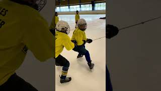 Intensive summer hockey camp Sweden Malmo 7/2023