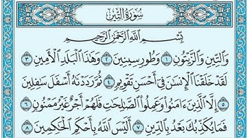 سورة التين عبدالله بصفر Surat Al Tin